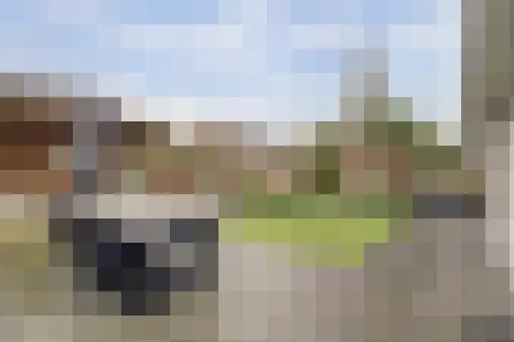 Schokkerhof 30 Harlingen thumbnail 33