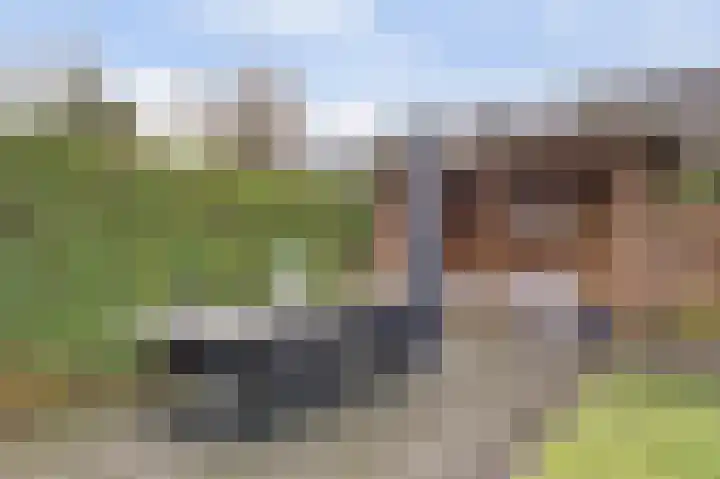 Schokkerhof 30 Harlingen thumbnail 34