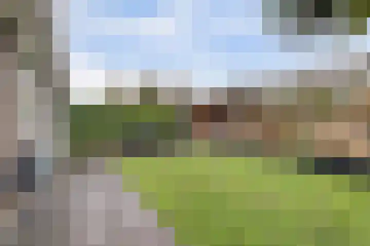 Schokkerhof 30 Harlingen thumbnail 35