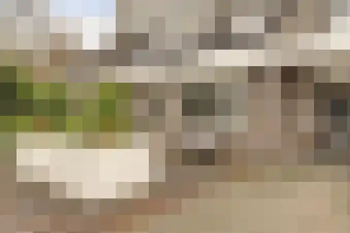 Schokkerhof 30 Harlingen thumbnail 40