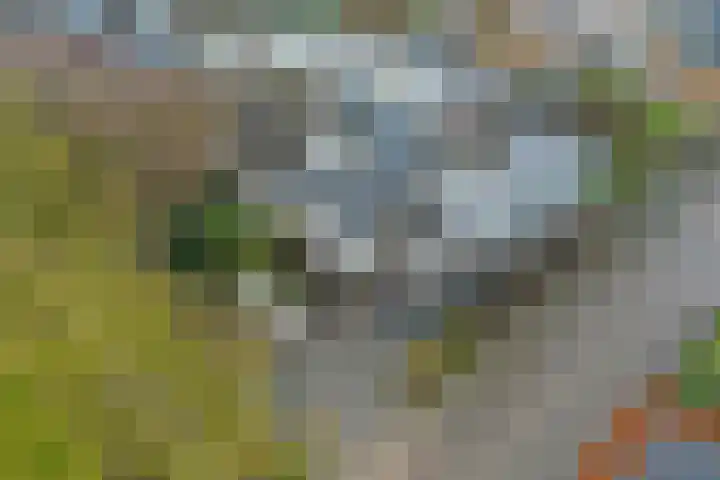 Schokkerhof 30 Harlingen thumbnail 47
