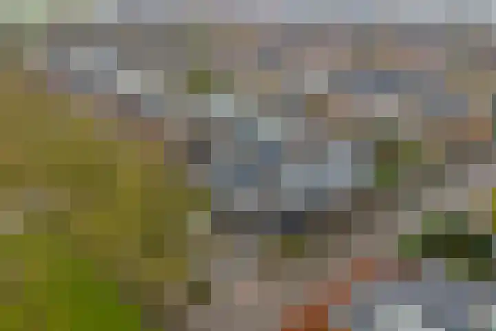 Schokkerhof 30 Harlingen thumbnail 48