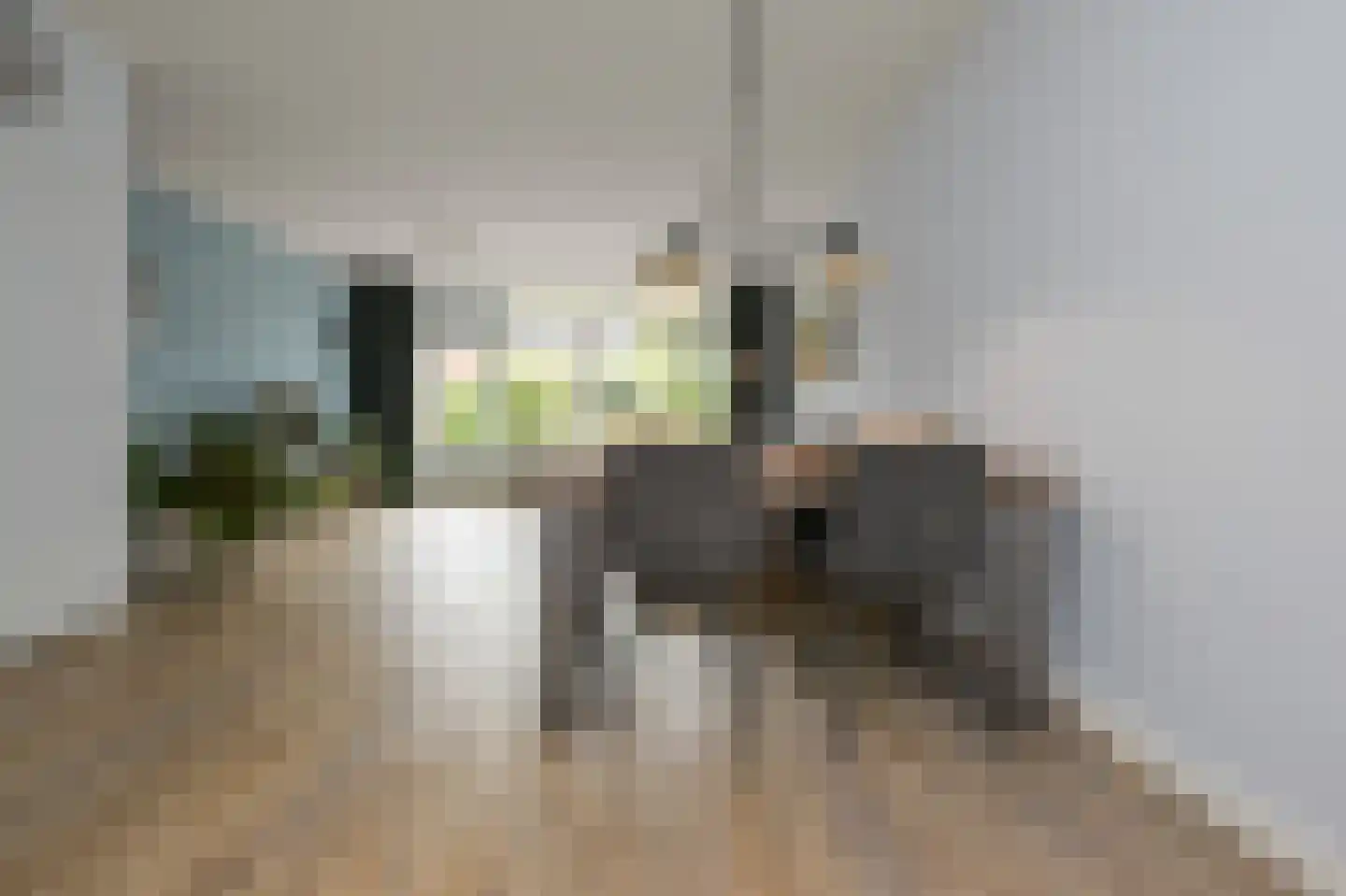Schokkerhof 38 Alkmaar thumbnail 11
