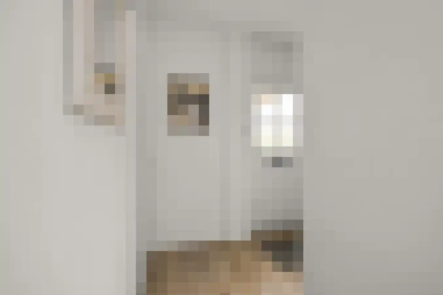 Schokkerhof 38 Alkmaar thumbnail 13