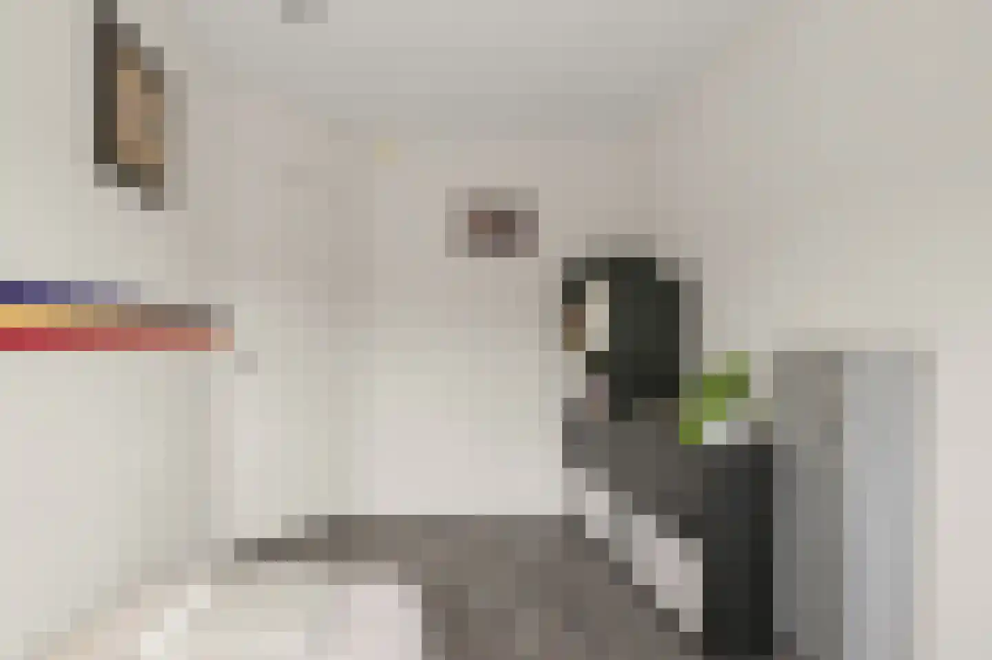 Schokkerhof 38 Alkmaar thumbnail 20