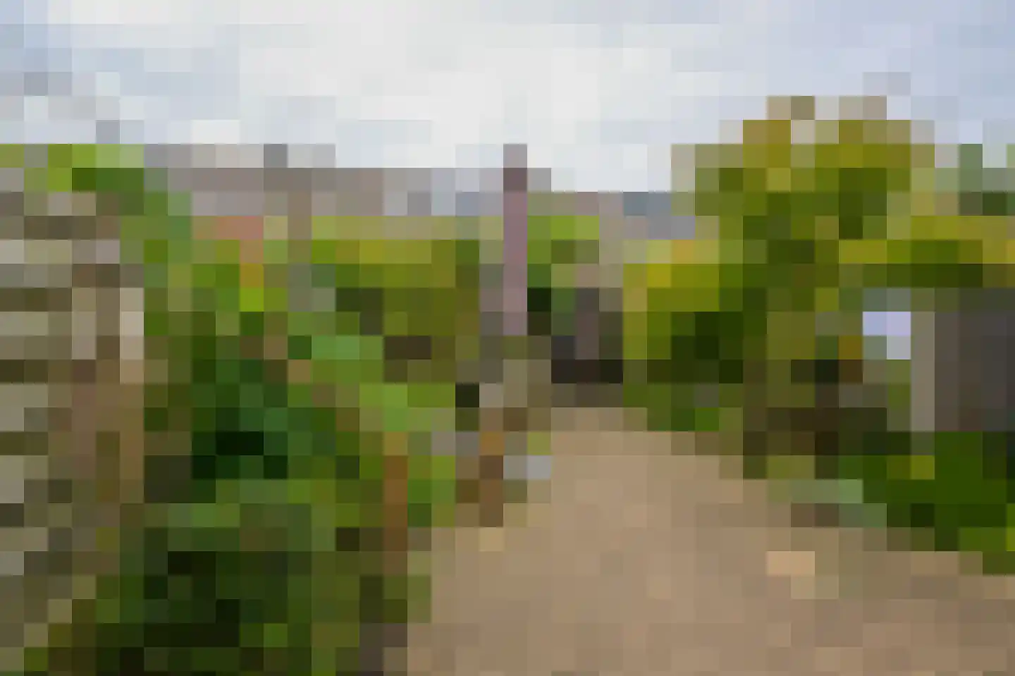 Schokkerhof 38 Alkmaar thumbnail 27