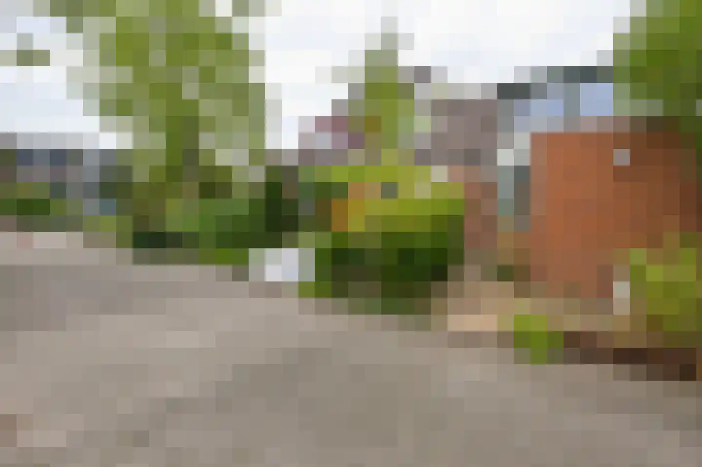 Schokkerhof 38 Alkmaar thumbnail 28