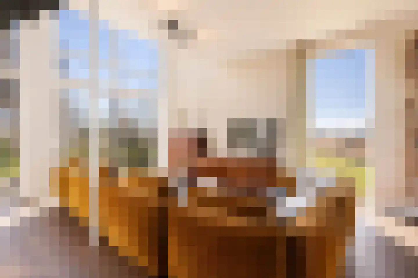 Schokkerjachtdijk 1 Amsterdam thumbnail 22