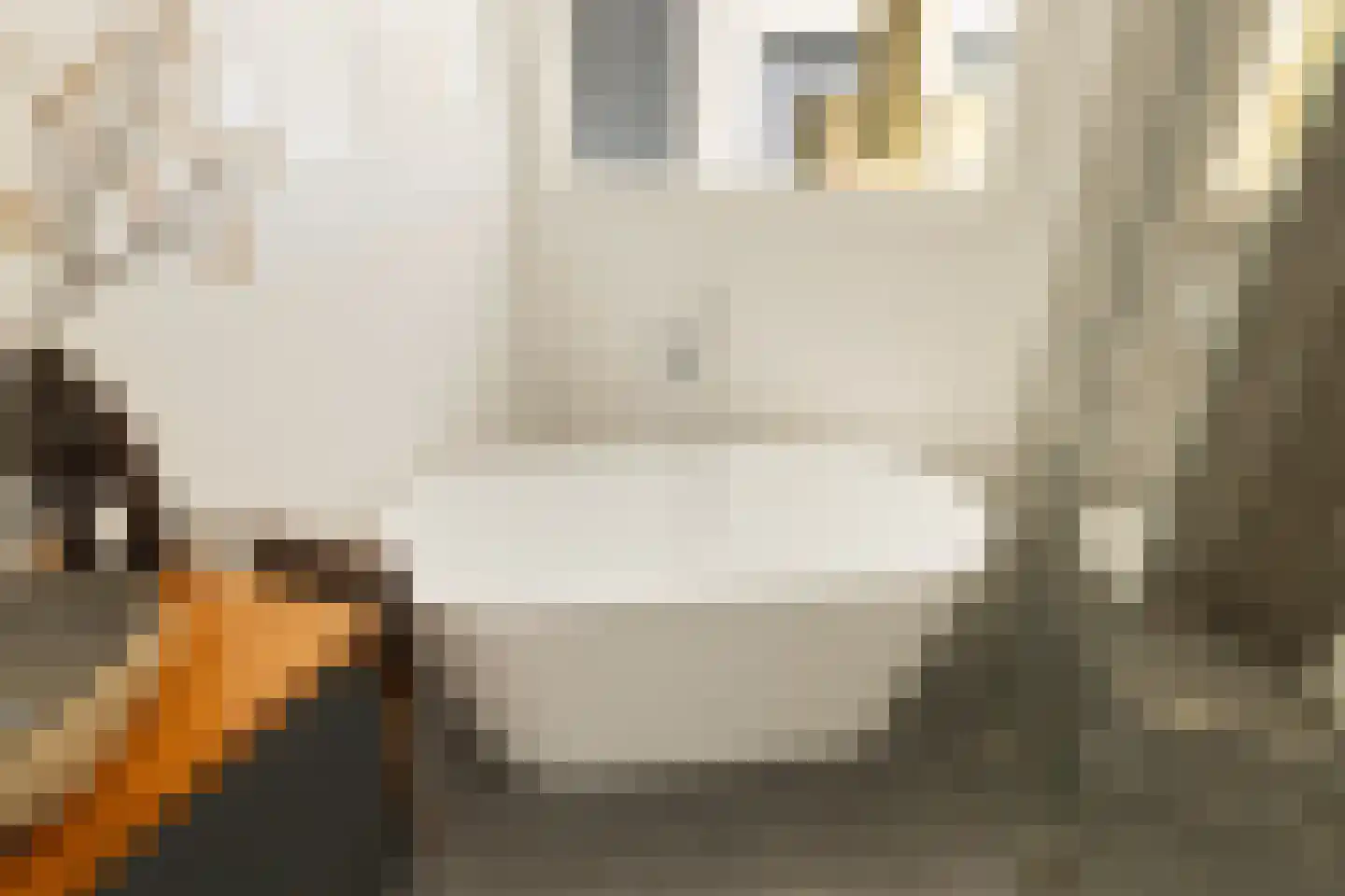 Schokkerjachtdijk 1 Amsterdam thumbnail 39