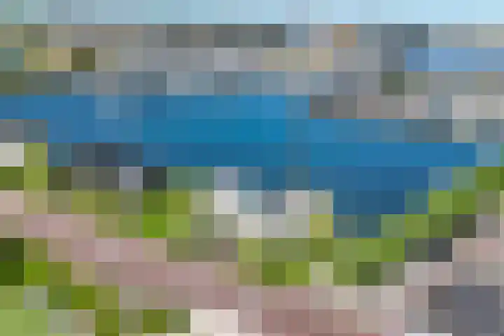 Schokkerjachtdijk 15 Amsterdam thumbnail 16