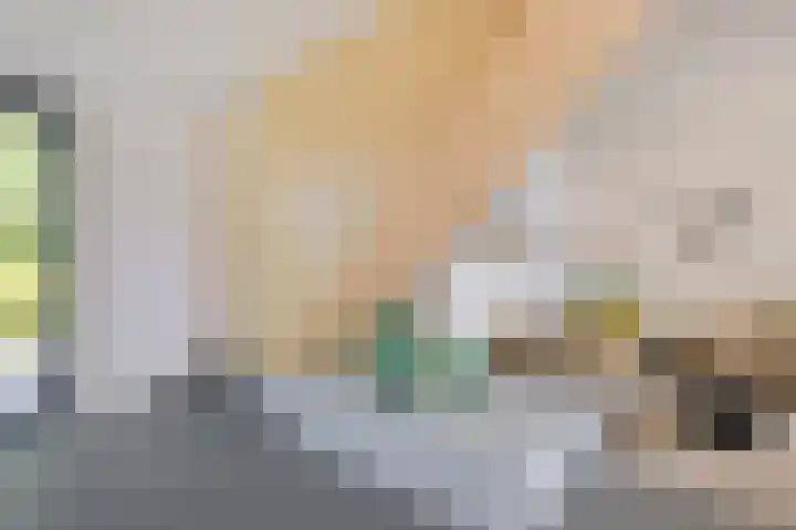 Schokkerjachtdijk 15 Amsterdam thumbnail 39