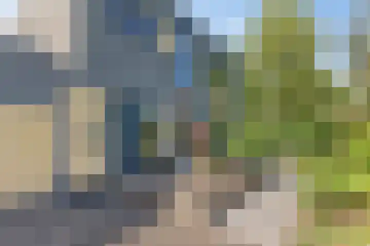 Schokkerjachtdijk 15 Amsterdam thumbnail 43