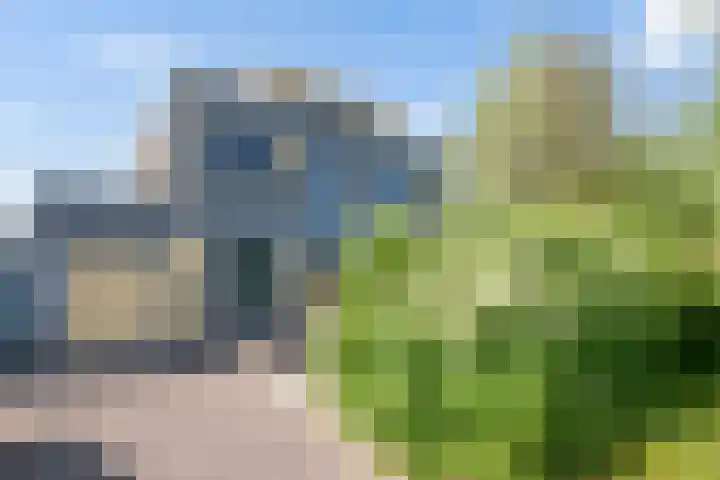 Schokkerjachtdijk 15 Amsterdam thumbnail 44