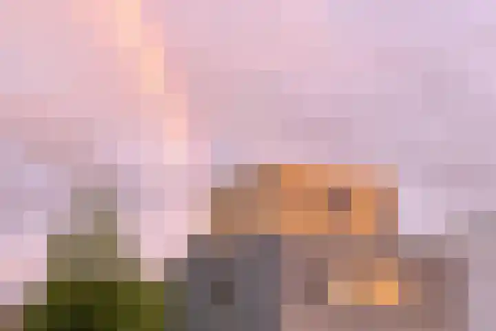 Schokkerjachtdijk 15 Amsterdam thumbnail 56