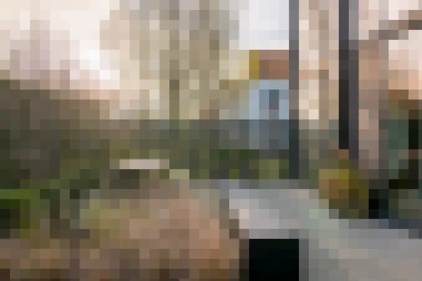Schokkerjachtdijk 9 Amsterdam thumbnail 43