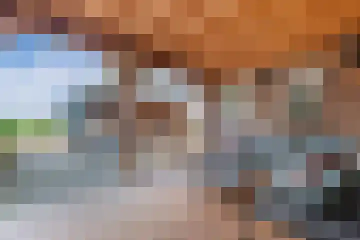 Schokkerringweg 37 B Ens thumbnail 35