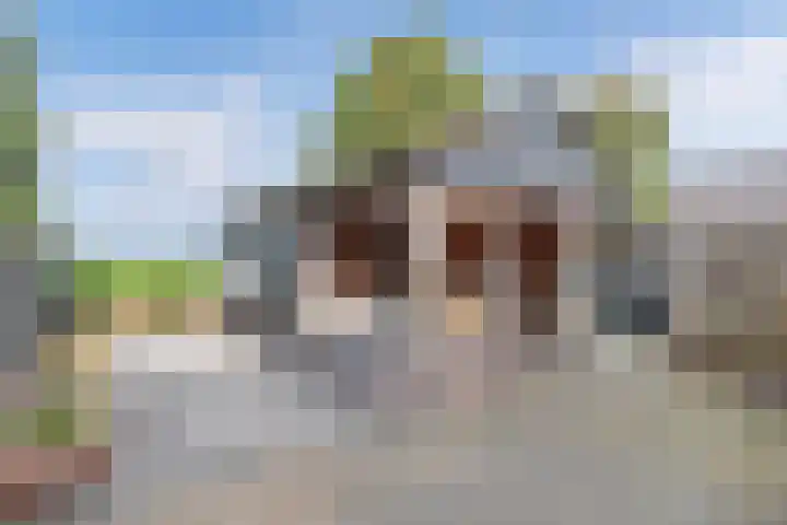 Schokkerringweg 37 B Ens thumbnail 36