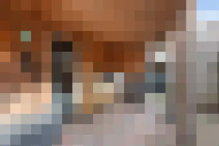 Schokkerringweg 37 B Ens thumbnail 38