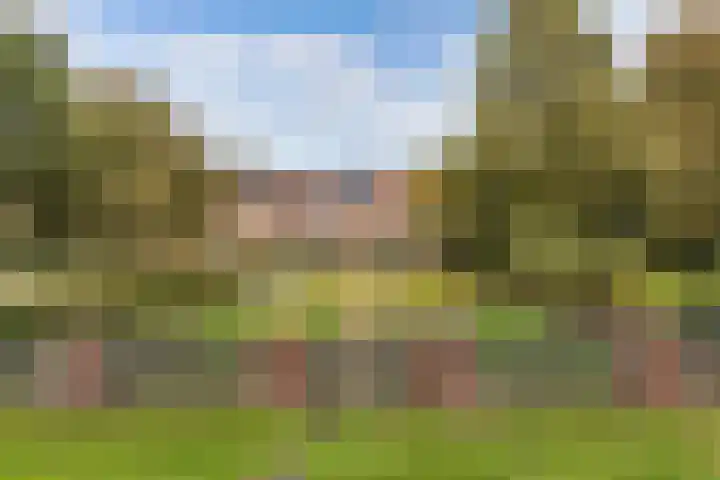 Schokkerringweg 37 B Ens thumbnail 4