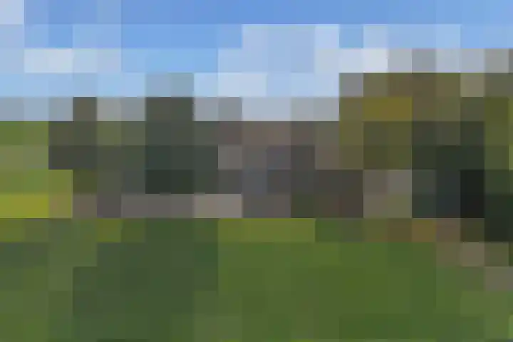 Schokkerringweg 37 B Ens thumbnail 45