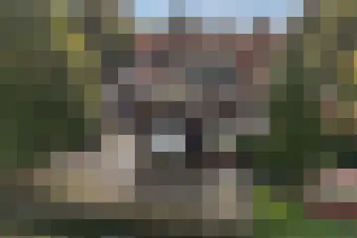 Schokkerringweg 37 B Ens thumbnail 46