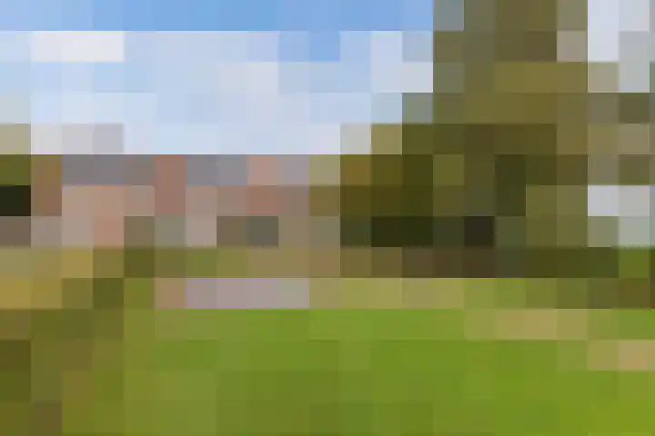 Schokkerringweg 37 B Ens thumbnail 5