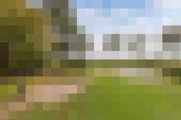 Schokkerringweg 37 B Ens thumbnail 6