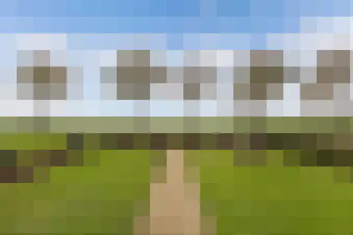 Schokkerringweg 37 B Ens thumbnail 7