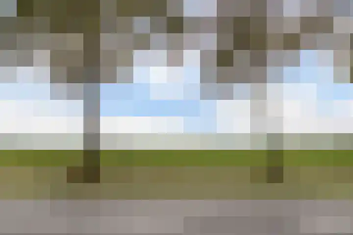 Schokkerringweg 37 B Ens thumbnail 8