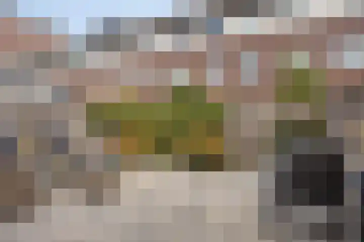 Schokkershaven 28 Zwijndrecht thumbnail 21