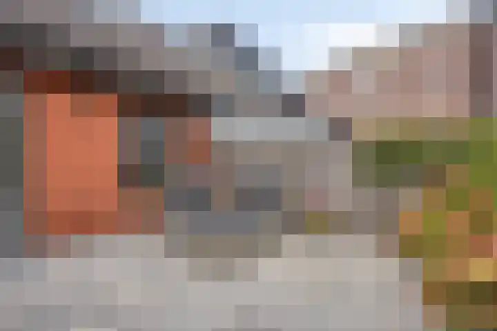 Schokkershaven 28 Zwijndrecht thumbnail 4