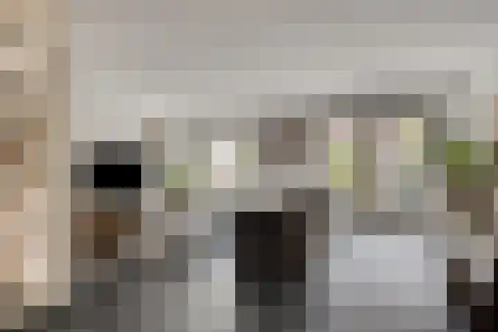 Schokkershaven 28 Zwijndrecht thumbnail 7