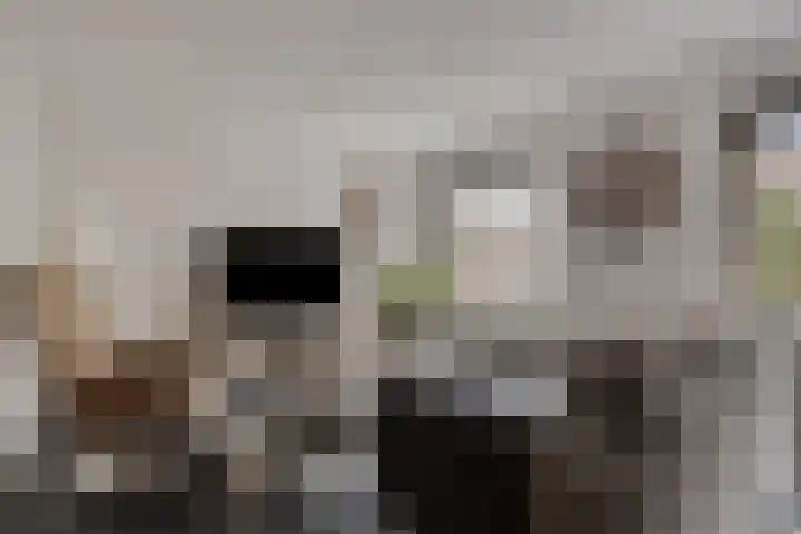 Schokkershaven 28 Zwijndrecht thumbnail 8