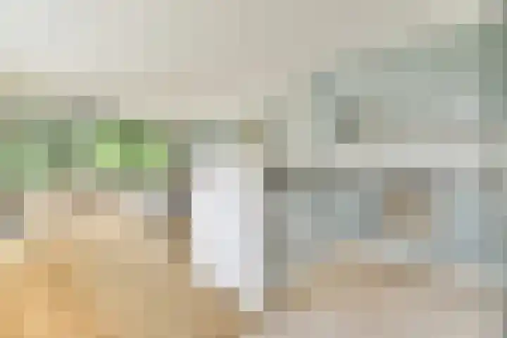 Schokkerspad 37 Amsterdam thumbnail 13