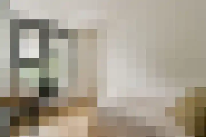 Schokkerspad 37 Amsterdam thumbnail 21