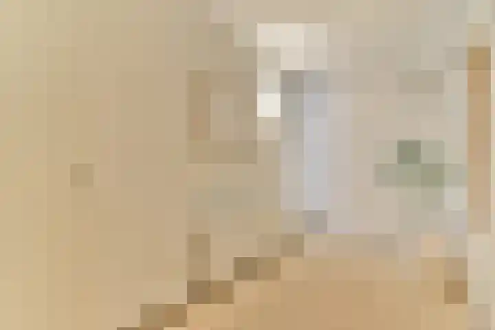 Schokkerspad 37 Amsterdam thumbnail 24