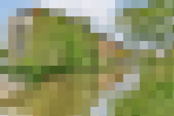 Schokkerspad 37 Amsterdam thumbnail 4