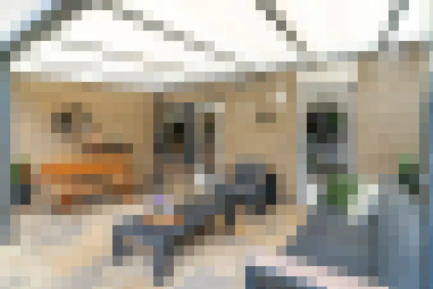 Schokkerstraat 13 Elburg thumbnail 26