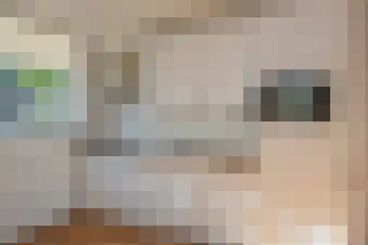 Schokkerstraat 147 Elburg thumbnail 9
