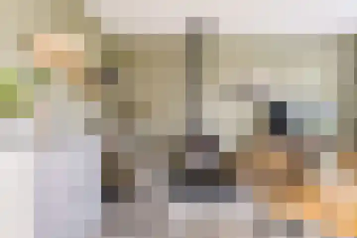 Schokkerstraat 32 Elburg thumbnail 12