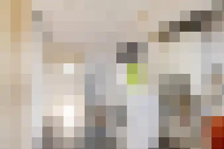 Schokkerstraat 32 Elburg thumbnail 34