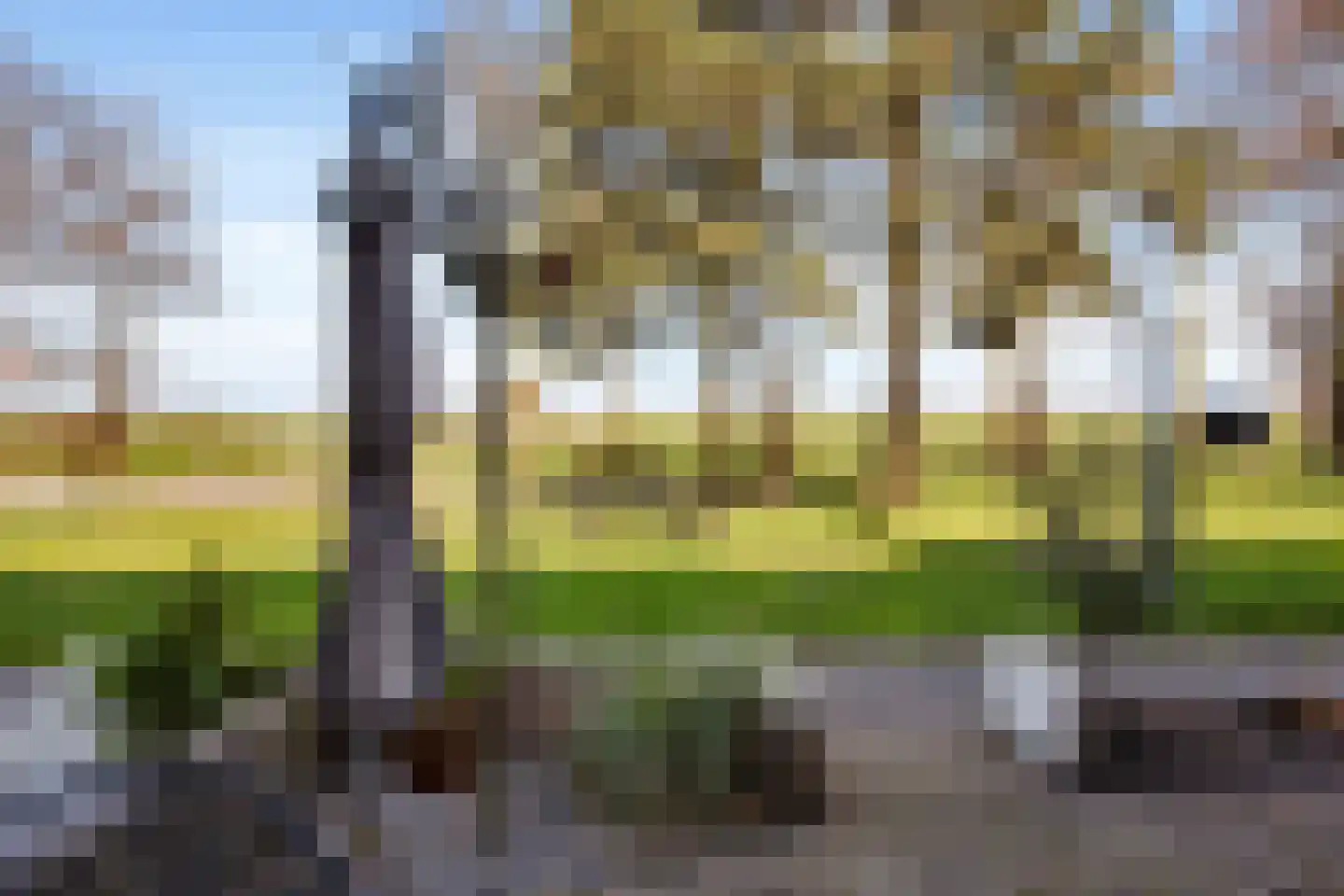 Schokkerstraat 77 Elburg thumbnail 10