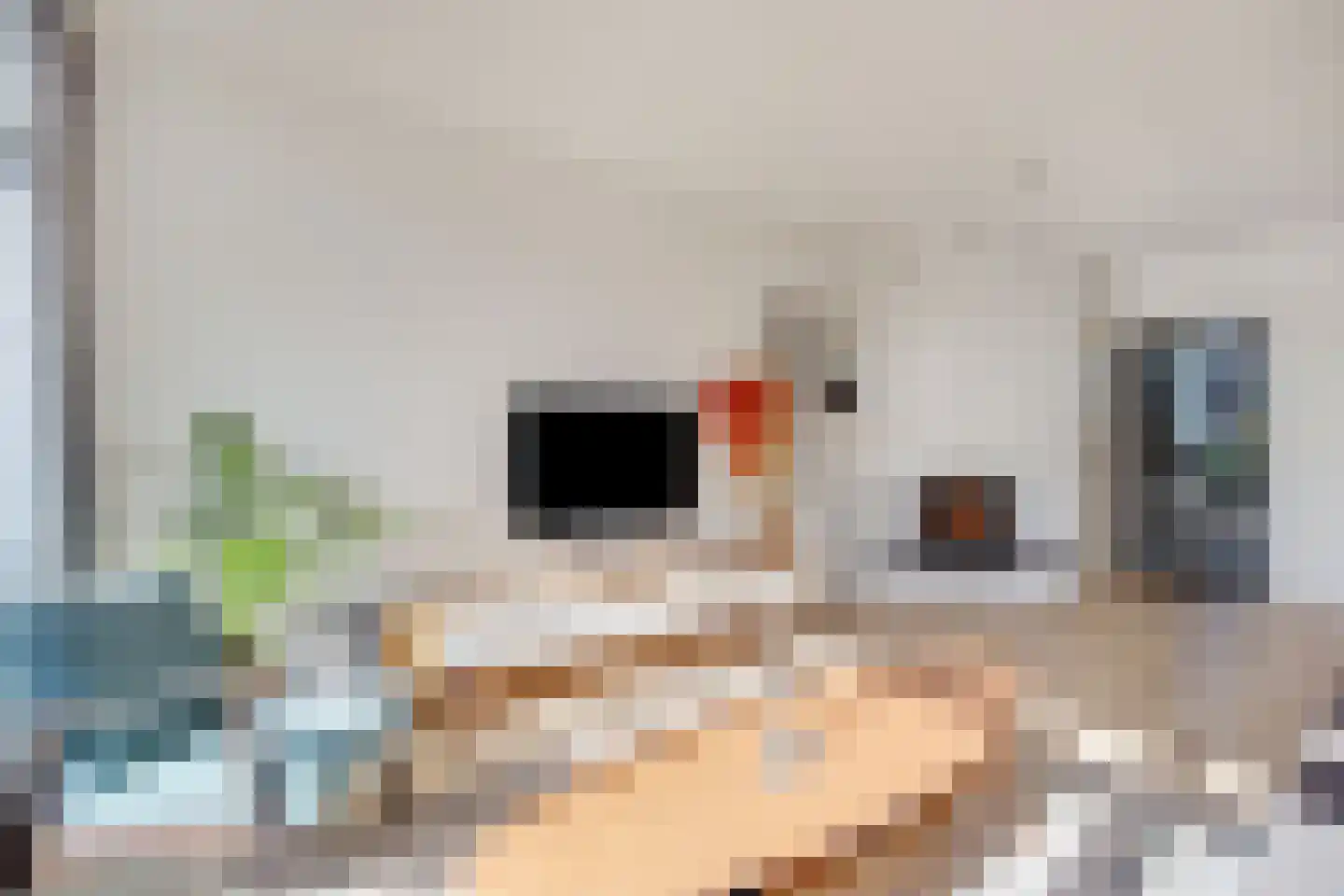Schokkerstraat 77 Elburg thumbnail 18