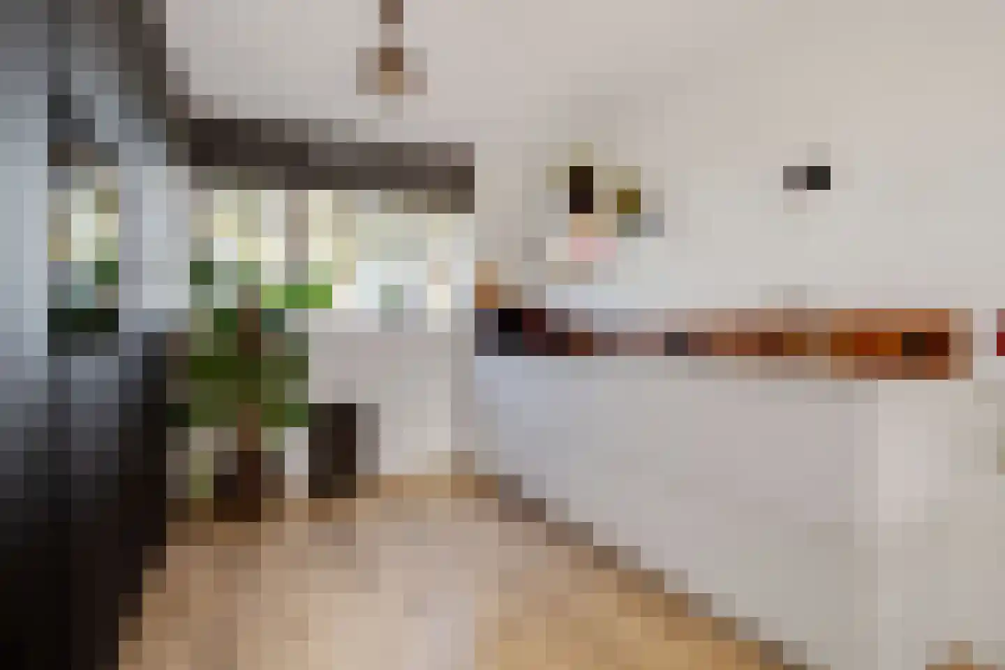 Schokkerstraat 77 Elburg thumbnail 25