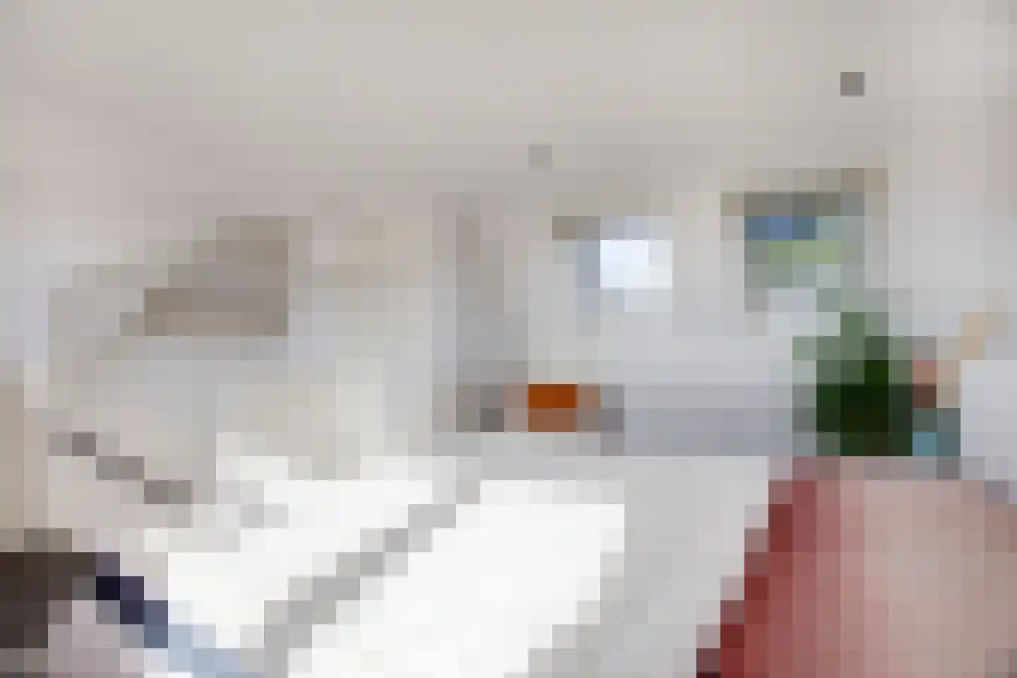 Schokkerstraat 77 Elburg thumbnail 44