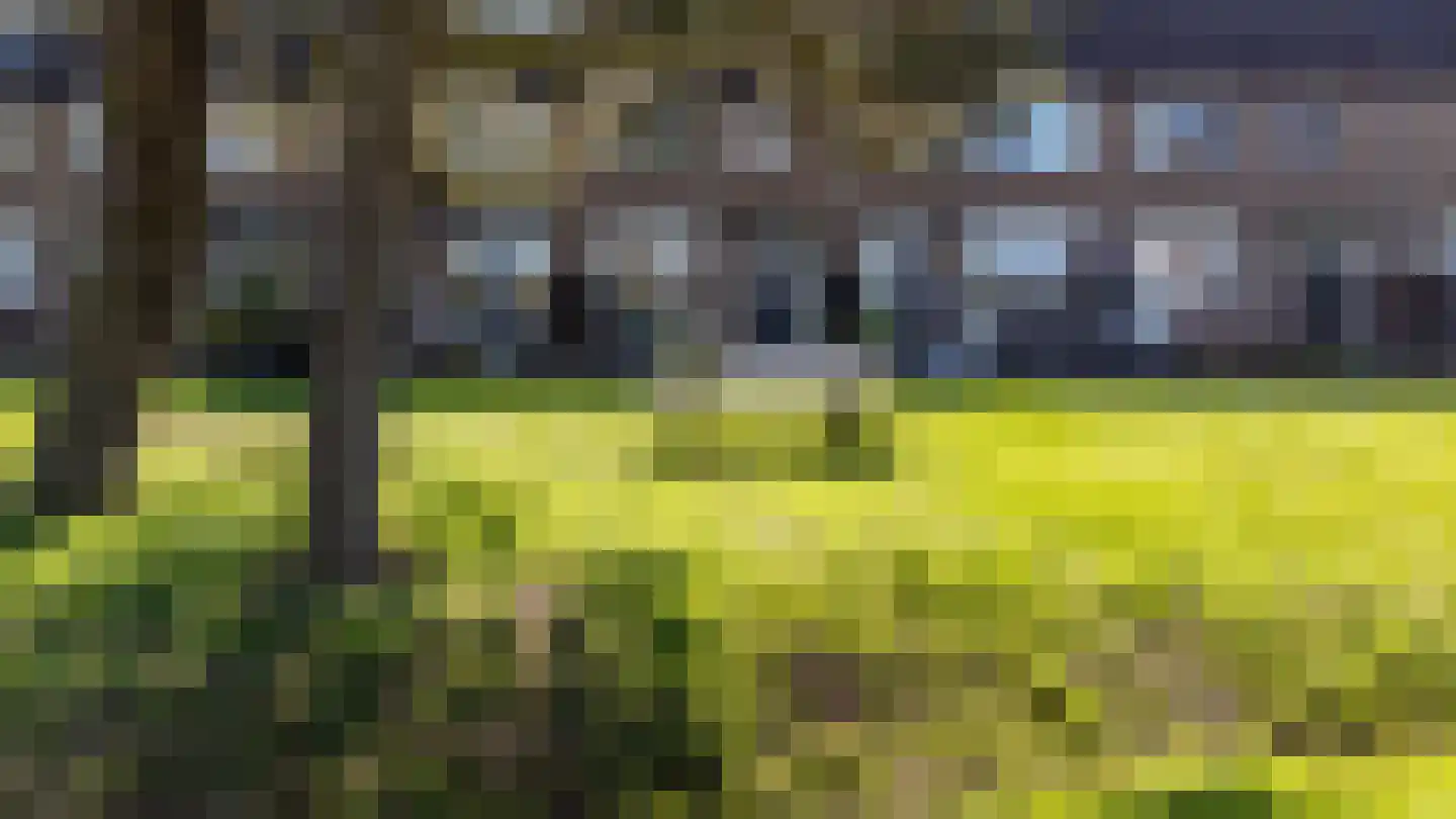 Schokkerstraat 77 Elburg thumbnail 6
