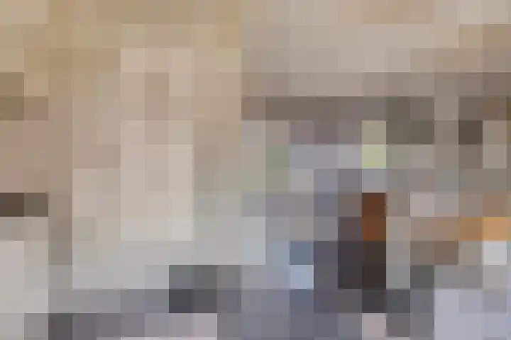 Schokkerstraat 8 Nieuw-Lekkerland thumbnail 10