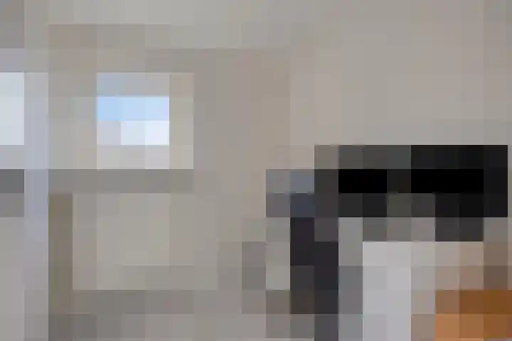 Schokkerstraat 8 Nieuw-Lekkerland thumbnail 18