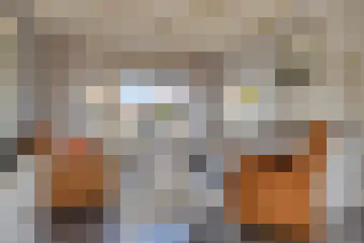 Schokkerstraat 8 Nieuw-Lekkerland thumbnail 4