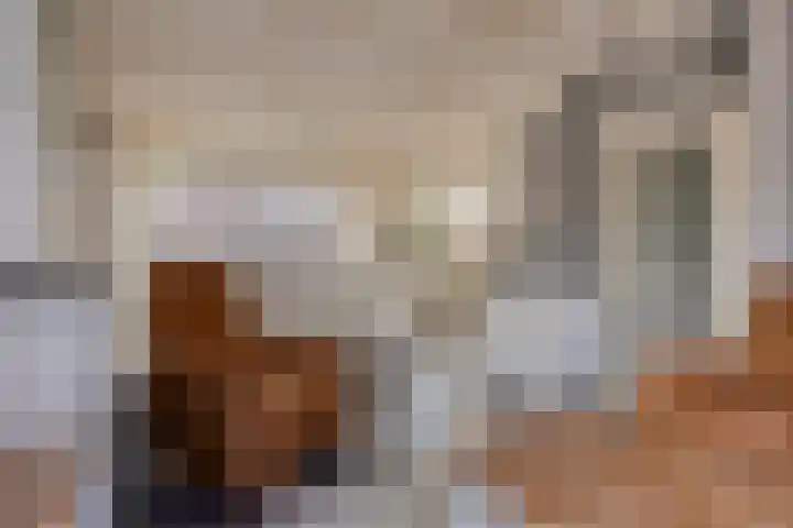 Schokkerstraat 8 Nieuw-Lekkerland thumbnail 5